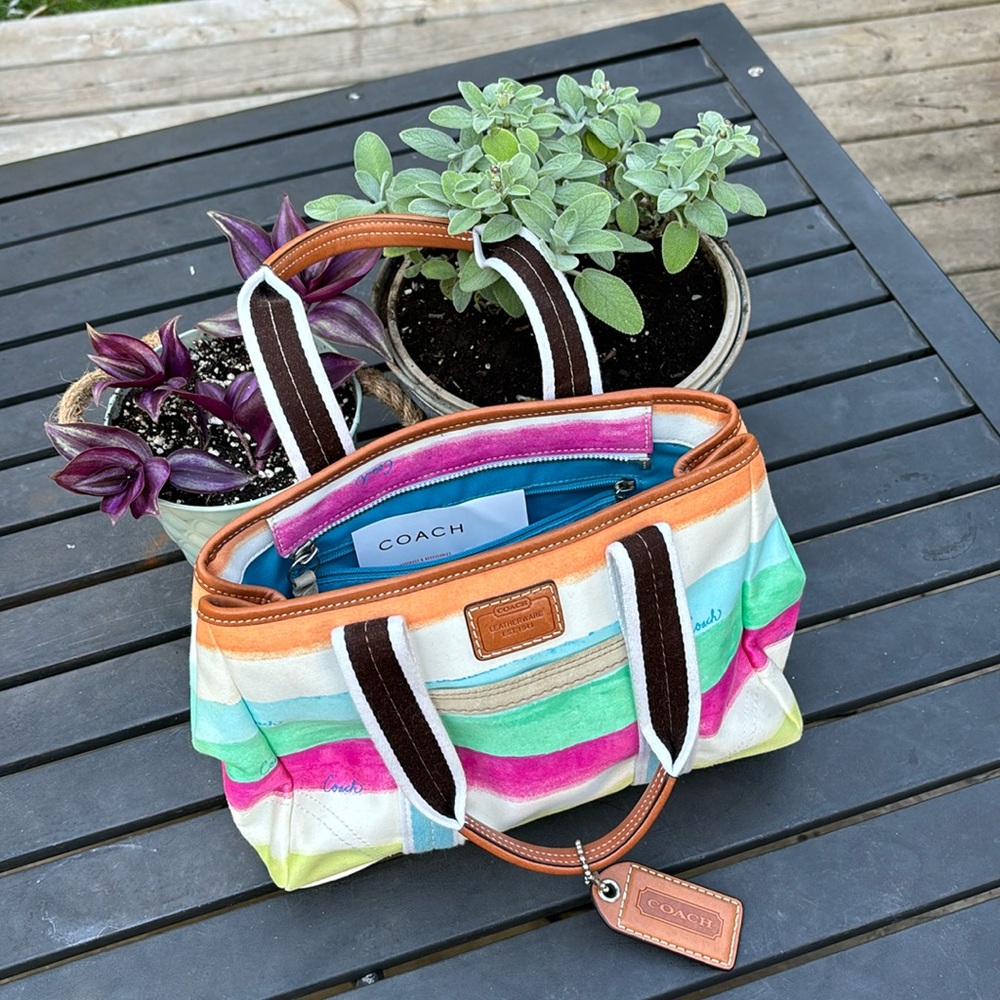 Coach Purse Summer Watercolours